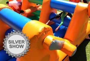 Click here to view more information about the It's A Knockout Silver Show